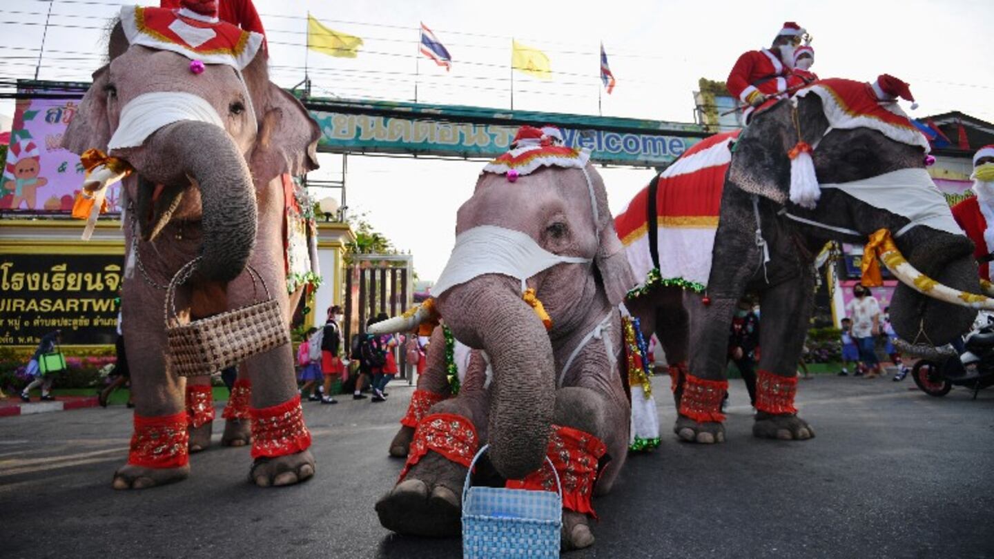 Elefantes vestidos de Papá Noel reparten mascarillas en una escuela de Tailandia. Foto: Reuter.