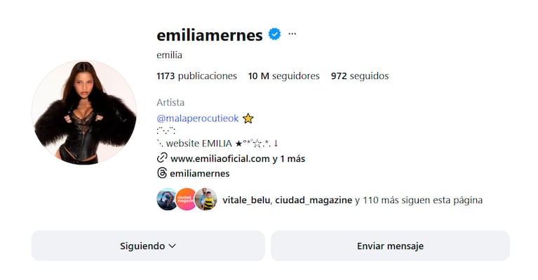 Emilia Mernes: la pelea con Tini impactó en sus redes (Instagram)