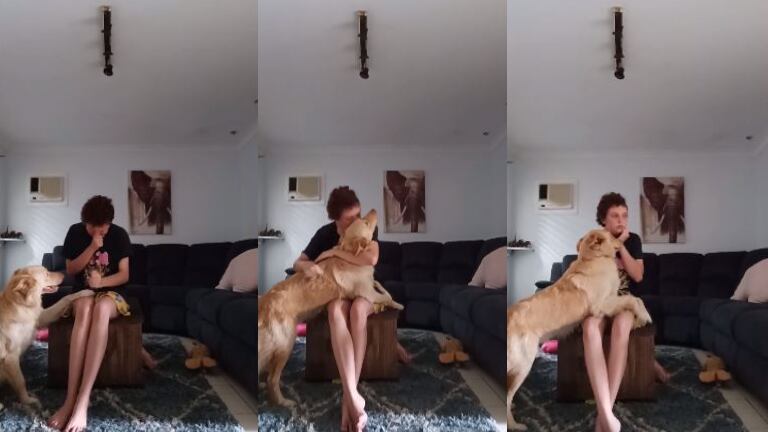 Emocionante: perro evitó que su dueña se lastimara y hasta le seco las lágrimas
