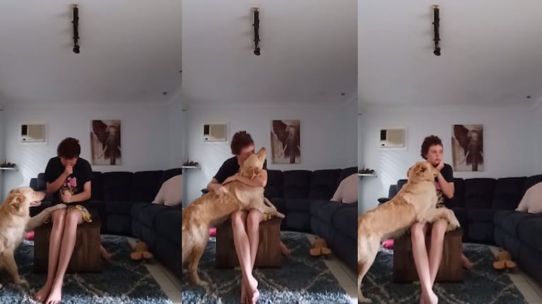 Emocionante: perro evitó que su dueña se lastimara y hasta le seco las lágrimas