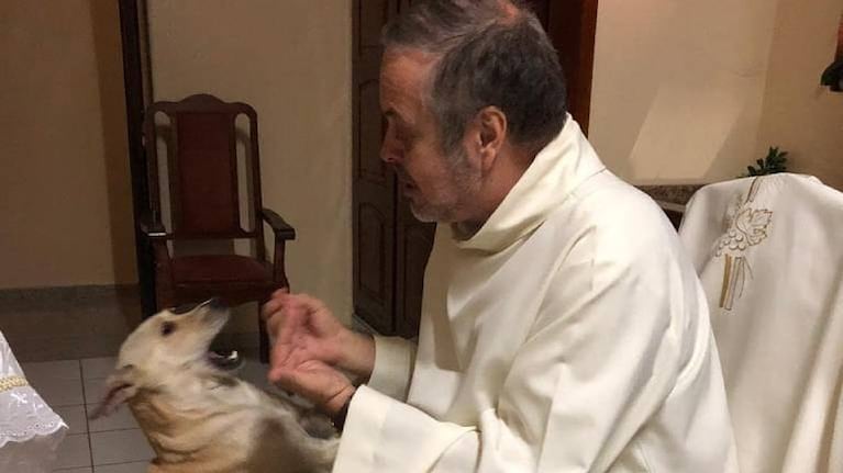 En Brasil, un sacerdote lleva perros abandonados a sus misas para que los adopten