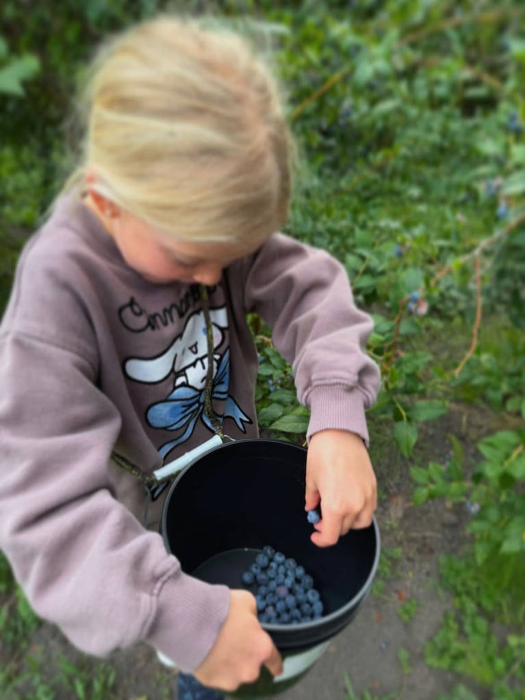 En el campo y en familia: la increíble cosecha de arándanos de Luisana Lopilato con sus hijos y sus padres (Instagram)