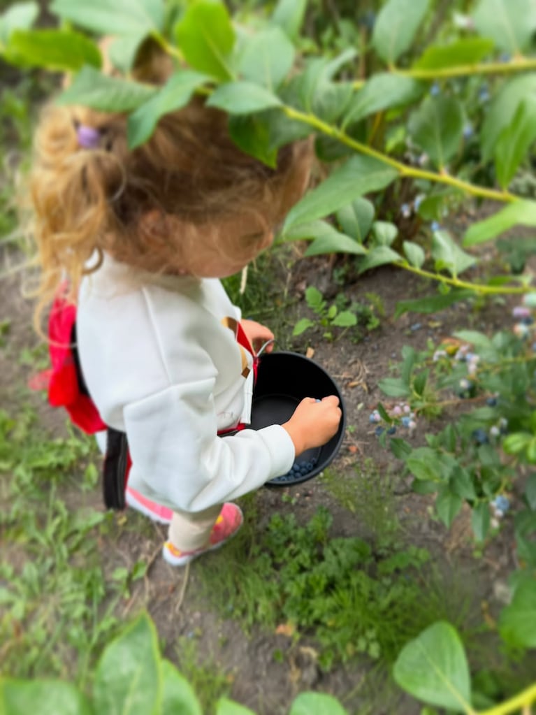 En el campo y en familia: la increíble cosecha de arándanos de Luisana Lopilato con sus hijos y sus padres (Instagram)