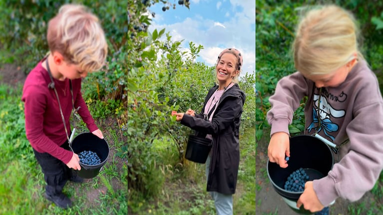 En el campo y en familia: la increíble cosecha de arándanos de Luisana Lopilato con sus hijos y sus padres (Instagram)