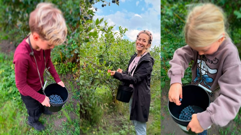 En el campo y en familia: la increíble cosecha de arándanos de Luisana Lopilato con sus hijos y sus padres (Instagram)