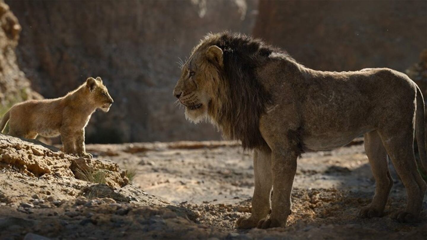  En marcha la secuela del remake de El Rey León con el director de Moonlight. Foto: DPA.