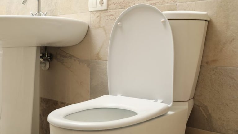 Es fundamental tener el inodoro limpio en el baño, para atraer buenas energías. Foto: Freepik