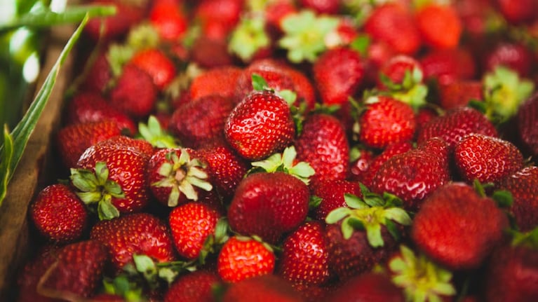 Es fundamental usar frutillas frescas para lograr que este postre salga perfecto. Foto: Cucinare TV