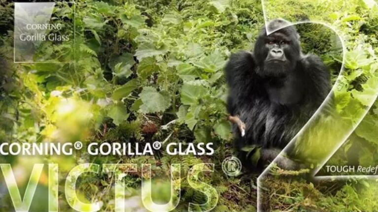 Es presentado el nuevo vidrio Gorilla Glass Victus 2