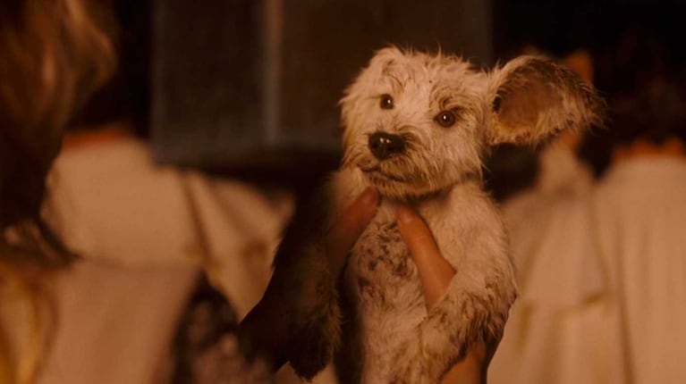 Escena de Supergirl (Foto: gentileza Warner Bros. Discovery)