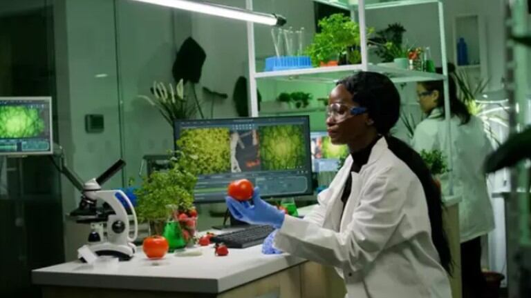 España ya es uno de los países que más invierte en el sector foodtech