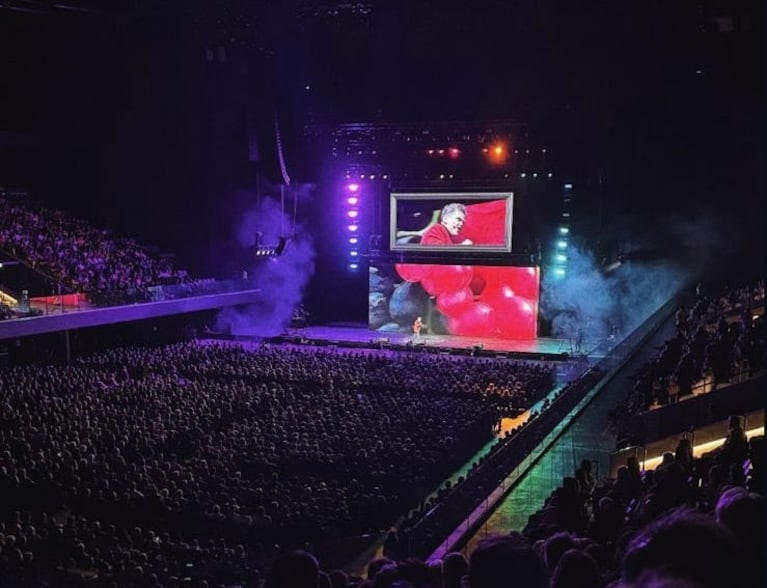 Especial de Chá Chá Chá en el Movistar Arena: Fabio Alberti le pidió matrimonio a su novia en el escenario