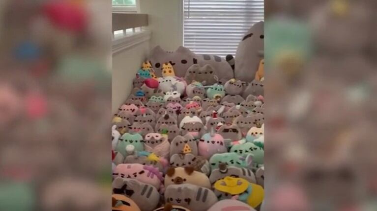 Esta adolescente ha conseguido una colección de peluches impresionante