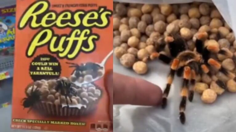 Esta caja de cereales contiene una sorpresa de ocho patas escondidas como parte de una terrorífica broma