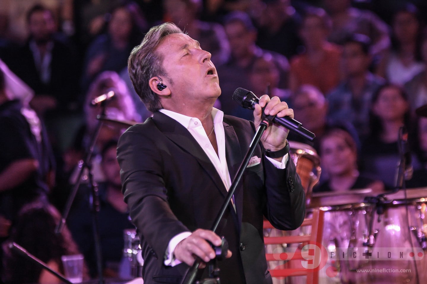 Esta es la historia de la canción Tan enamorados de Ricardo Montaner