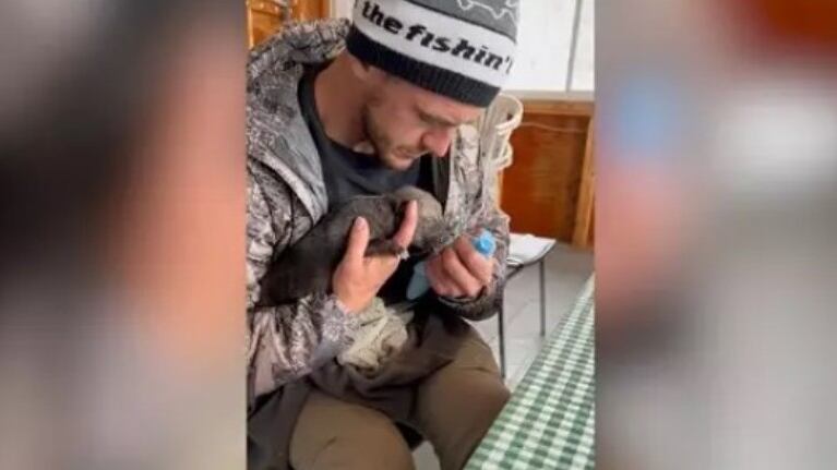 Esta fue la heroica acción de un hombre que se encontró una camada de lobos en la parte inferior de su casa