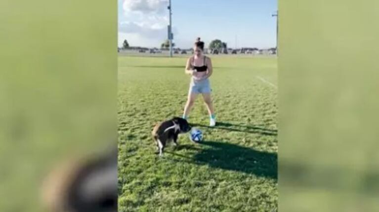 Esta grabación muestra a un cerdo probando suerte como estrella de fútbol