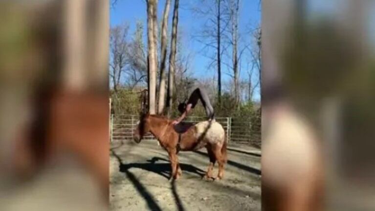 Esta mujer perfecciona sus posturas de yoga mientras hace equilibrio encima de su caballo