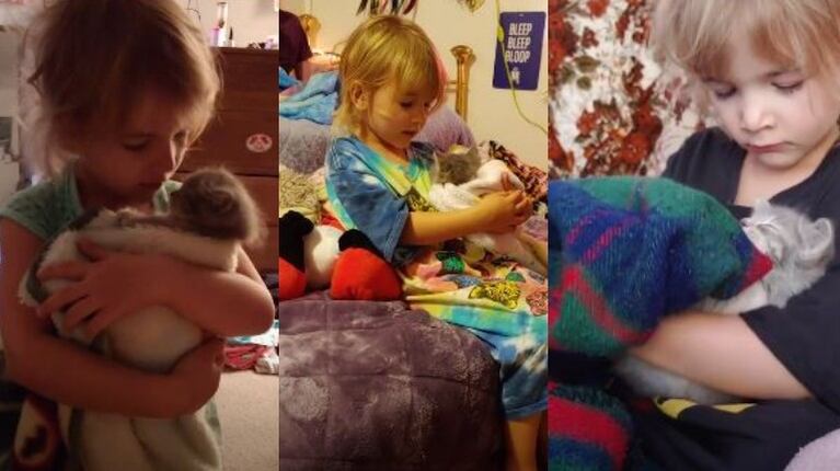 Esta niña de cuatro años se toma muy en serio cuidar de sus gatitos como si fuesen recién nacidos