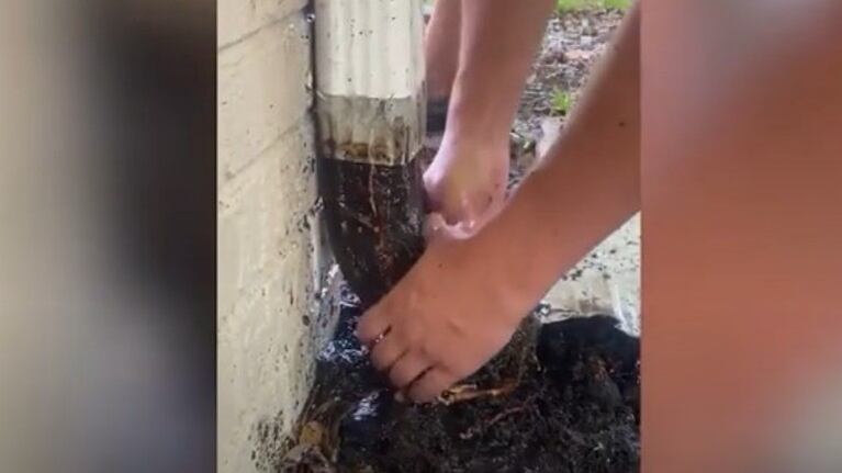 Esta pareja de jardineros se quedó atónita cuando descubrió lo que se escondía en las cañerías de una casa