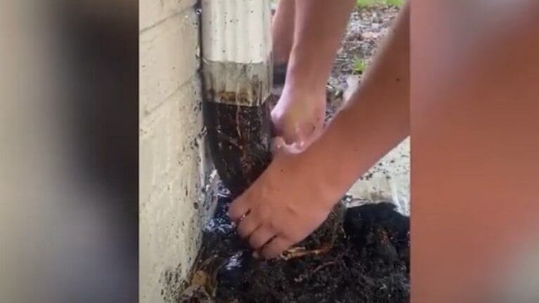 Esta pareja de jardineros se quedó atónita cuando descubrió lo que se escondía en las cañerías de una casa