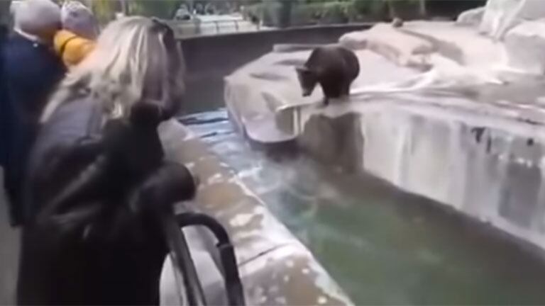 Estaba borracho, intentó ahogar a un oso y el momento quedó grabado