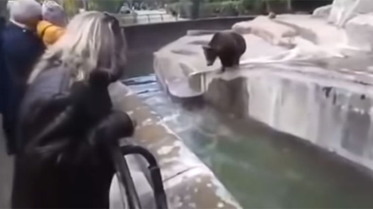 Estaba borracho, intentó ahogar a un oso y el momento quedó grabado