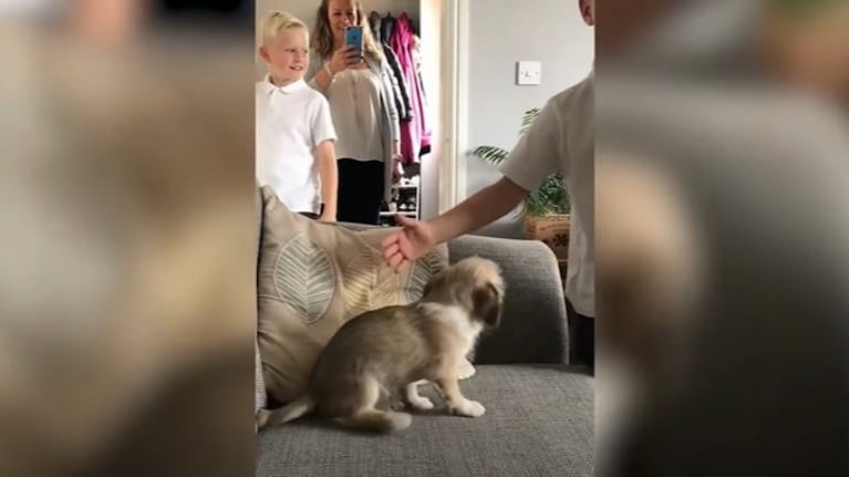 Este cachorro sorprendió a dos hermanos