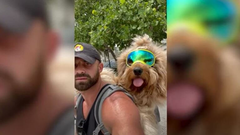  Este entusiasta de las motos se lleva a su perro de viaje por carretera
