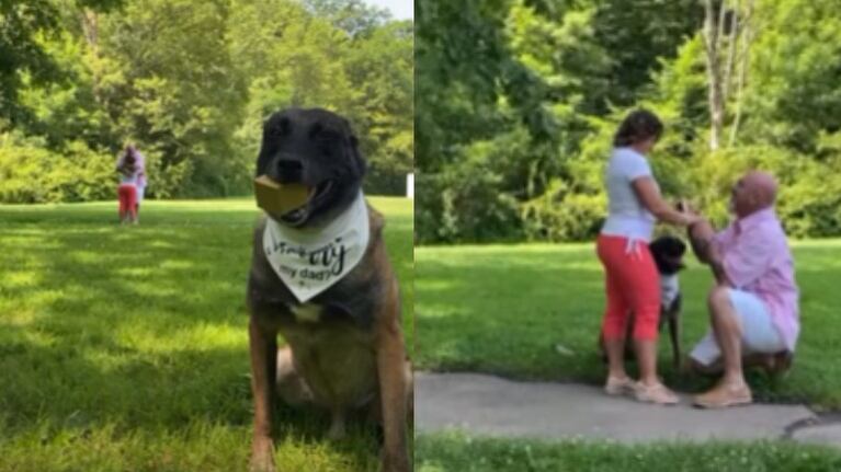 Este es el adorable momento en que un perro ayuda a su dueño a proponer matrimonio