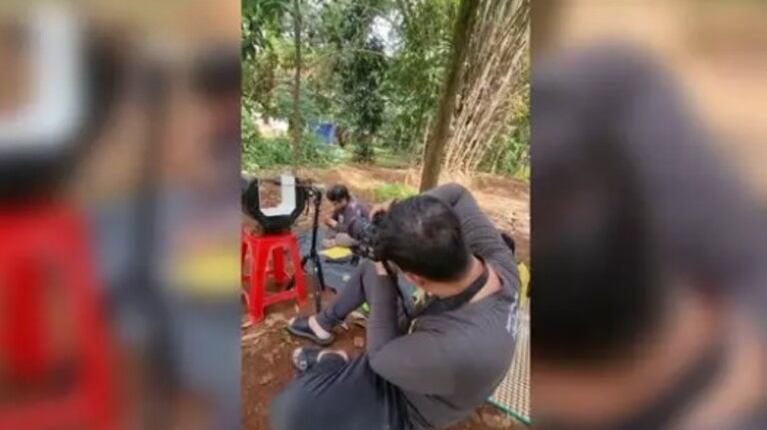 Este fotógrafo capta a unas hormigas transportando fruta diez veces más grandes que ellas