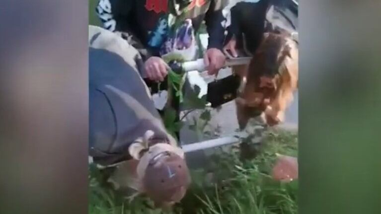 Este fue el divertido momento en que la dama de honor de una boda acabó encajada en un hoyo a orillas de un río