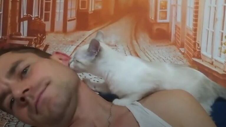 Este gato confunde la oreja de su dueño y trata de alimentarse de ella