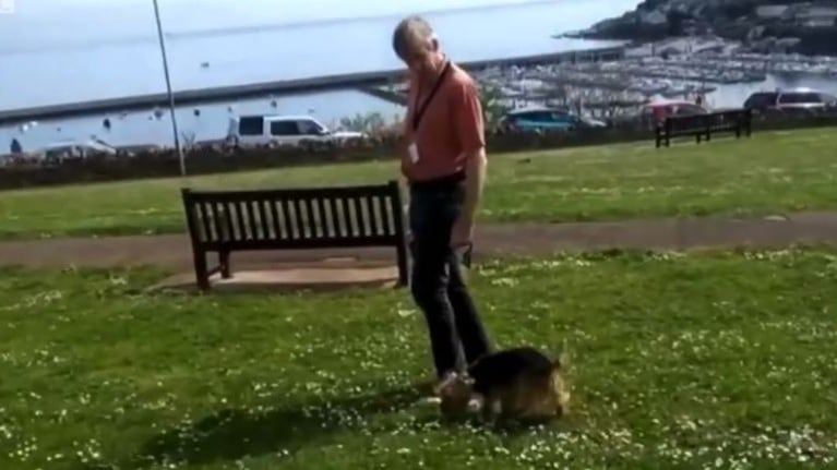 Este hombre de 73 años lleva 13 años como voluntario paseando mascotas de ancianos y enfermos