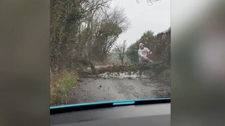 Este hombre intentó apartar un árbol que le impedía el paso en la carretera, pero acabó cayendo