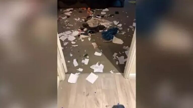 Este hombre se quedó impactado cuando descubrió que sus dos perros habían destrozado su casa en su ausencia