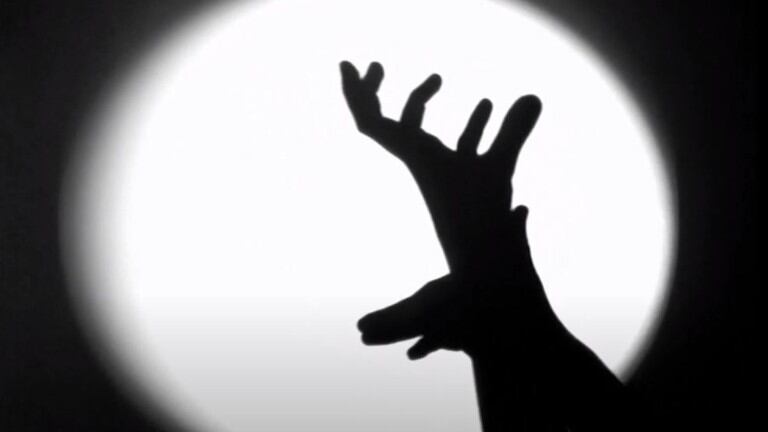  Este hombre transforma sus manos en elefantes, jaguares y ratones