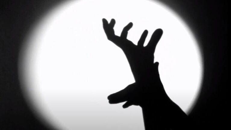  Este hombre transforma sus manos en elefantes, jaguares y ratones