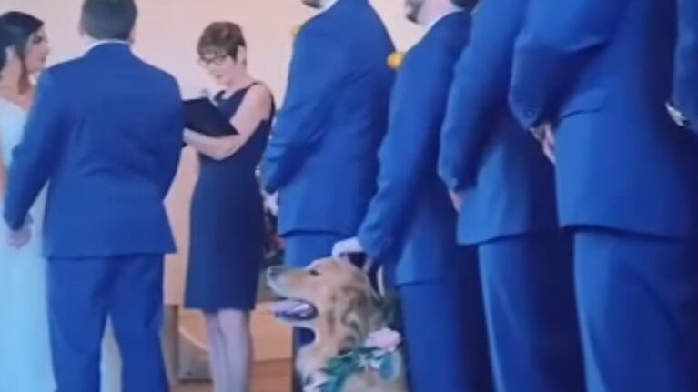 Este perro se pone a saludar a los invitados de la iglesia de camino al altar durante la boda de sus dueños