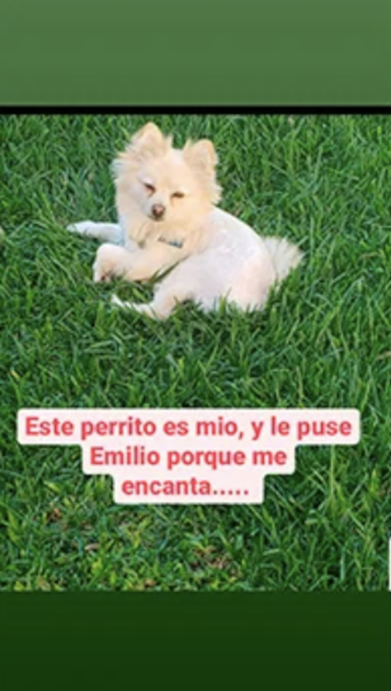 Estefanía Pasquini contó el 'dilema' que tiene con Cormillot para elegir el nombre del bebé: "Quiere ponerle como se llama mi perro"