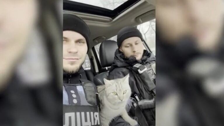 Estos policías se han hecho cargo de un gato que perdió a su familia