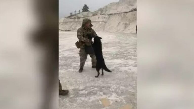 Estos soldados de Ucrania encuentran un perro callejero y se ponen a jugar con él