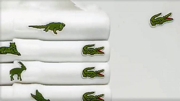 Estos son los diez animales en peligro de extinción que aparecen en las camisas Lacoste