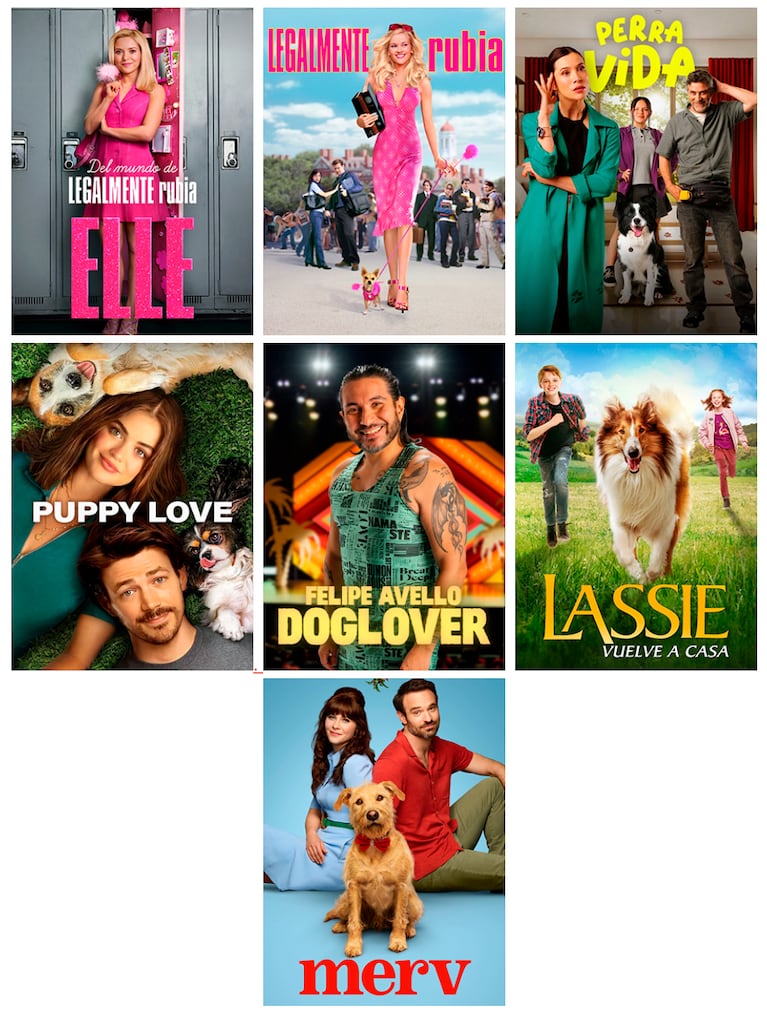 estrenos de Prime Video. Foto. prensa