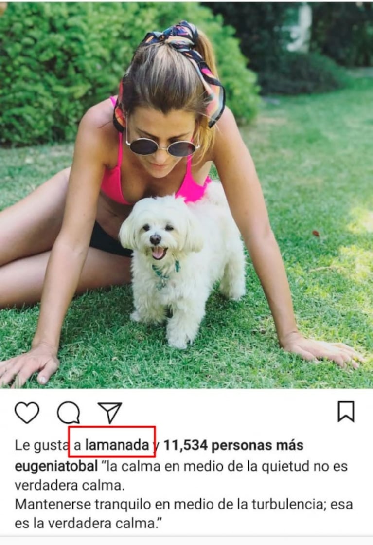 Eugenia Tobal y Francisco García Ibar, súper buena onda en Instagram tras los rumores de romance