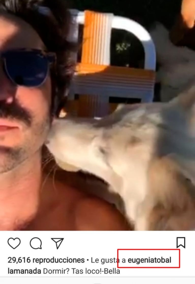 Eugenia Tobal y Francisco García Ibar, súper buena onda en Instagram tras los rumores de romance