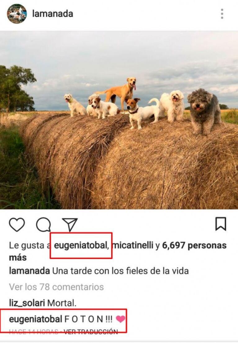 Eugenia Tobal y Francisco García Ibar, súper buena onda en Instagram tras los rumores de romance