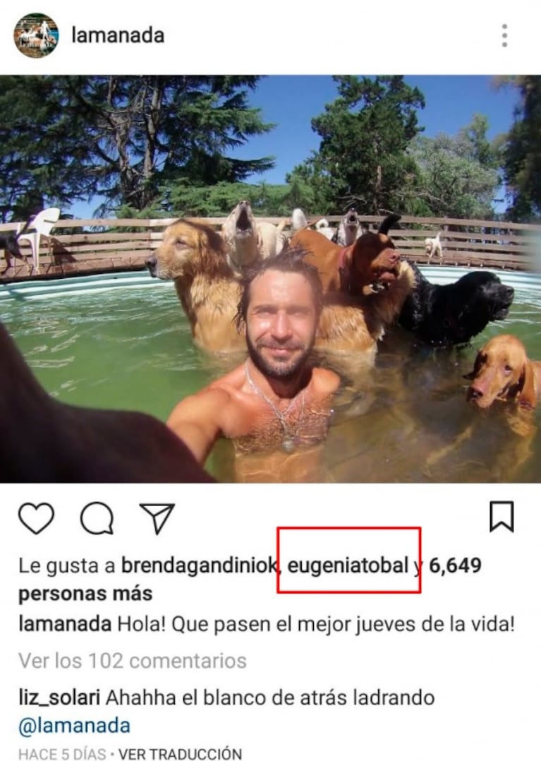 Eugenia Tobal y Francisco García Ibar, súper buena onda en Instagram tras los rumores de romance