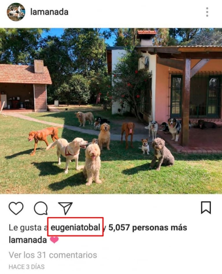 Eugenia Tobal y Francisco García Ibar, súper buena onda en Instagram tras los rumores de romance