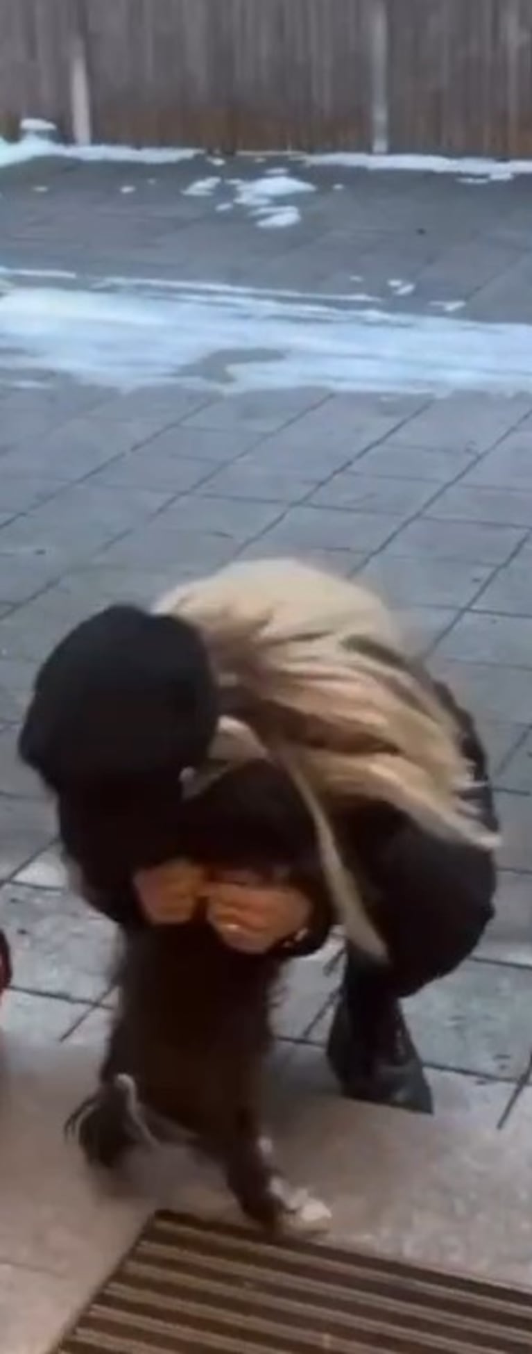 Evangelina Anderson volvió a Alemania para buscar a su perra: el emotivo reencuentro